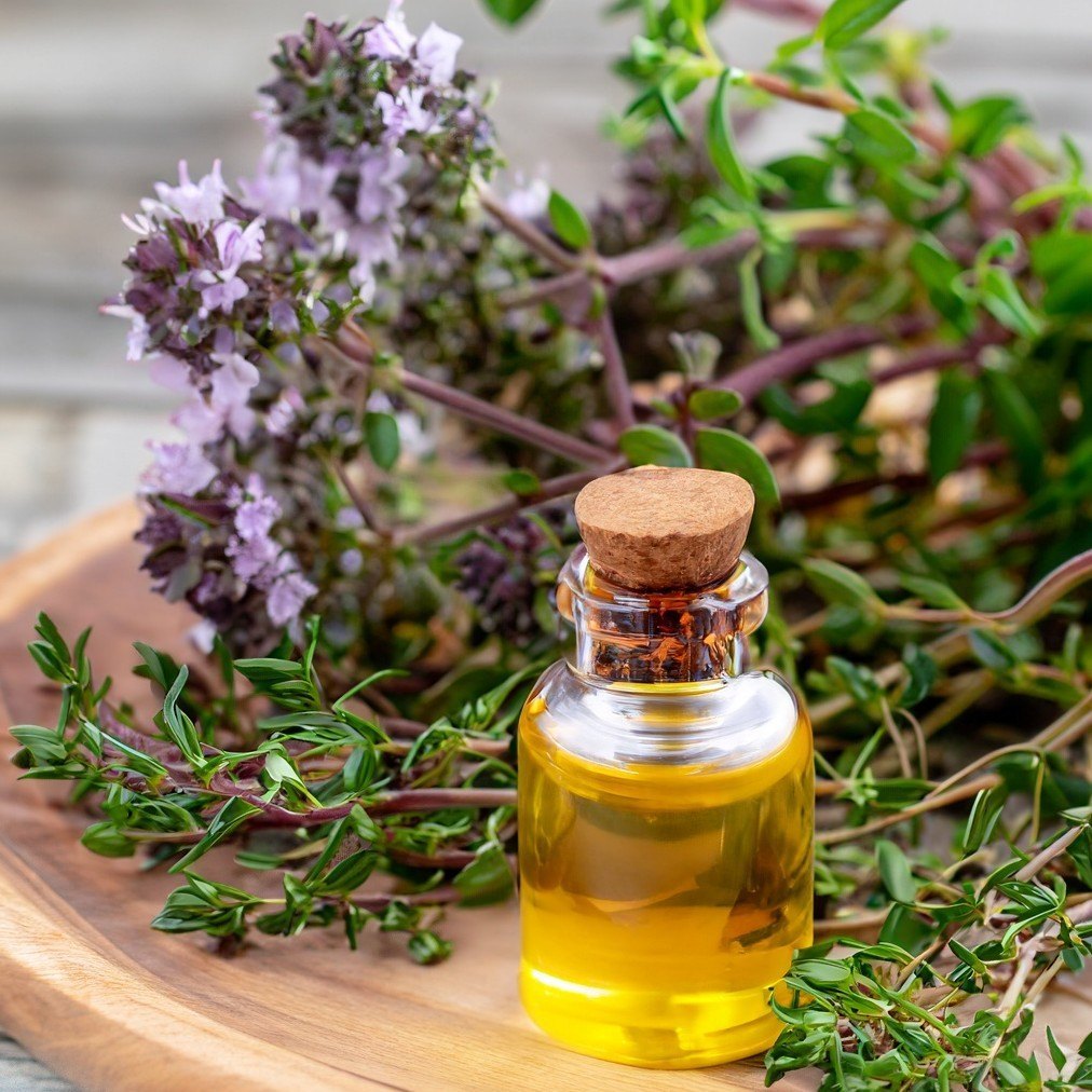 Thyme Oil Introduction, How to Use & Benefits Santripty