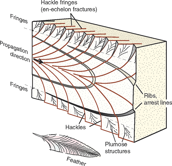 Geology 341 Final ExamUniversity of Calgary Sanuja Senanayake