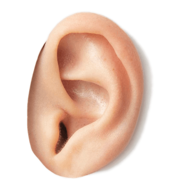 Leading Nasal & Ear Care from Sanvic