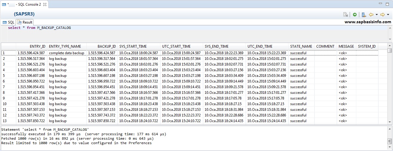Hana Query