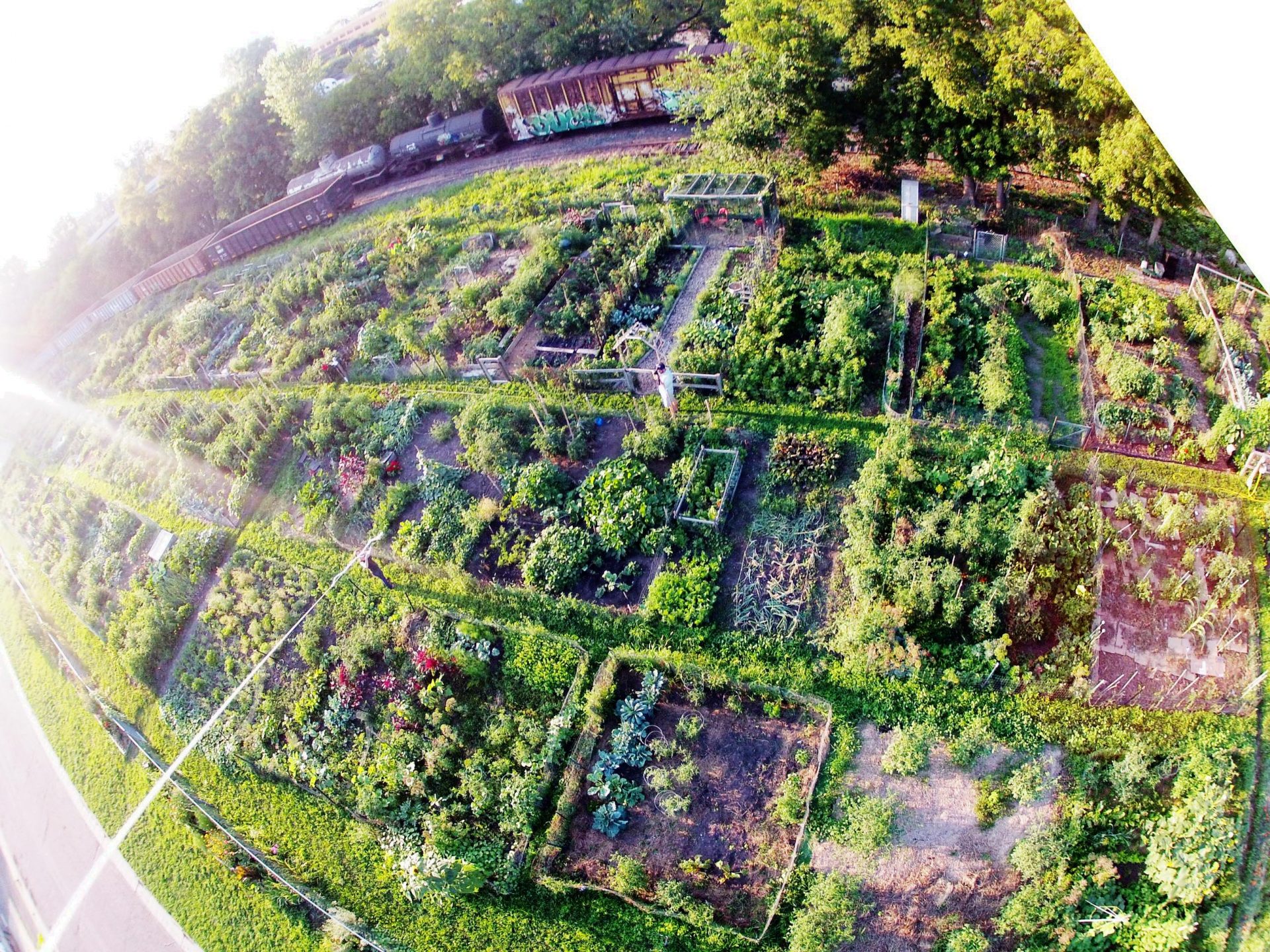 Community Garden St. Anthony Park Community Council