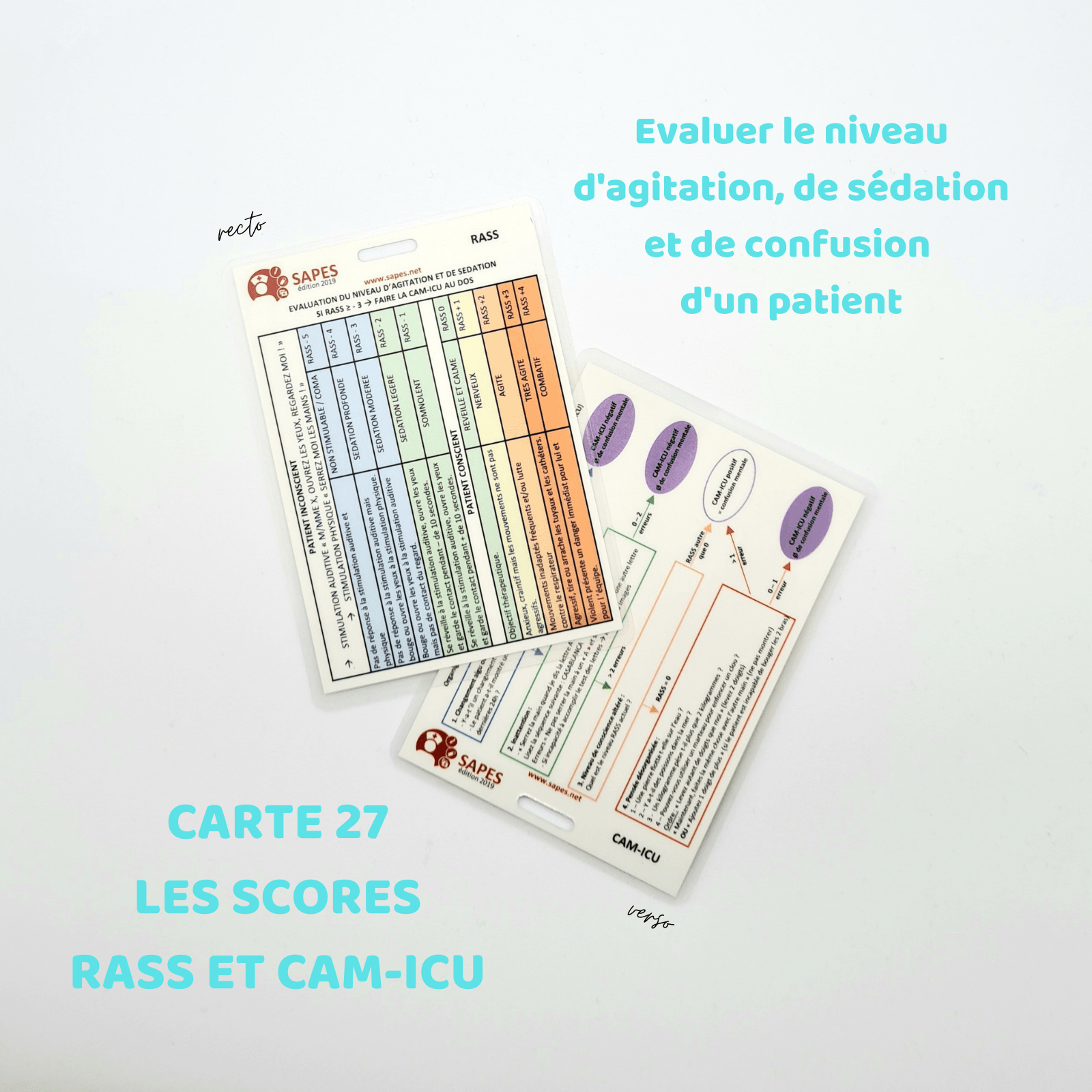 Pain Points Liés À La Carte Mémo Ide Cartes mémo IDE ET ESI sur le RASS et CAMICU idéal en stage