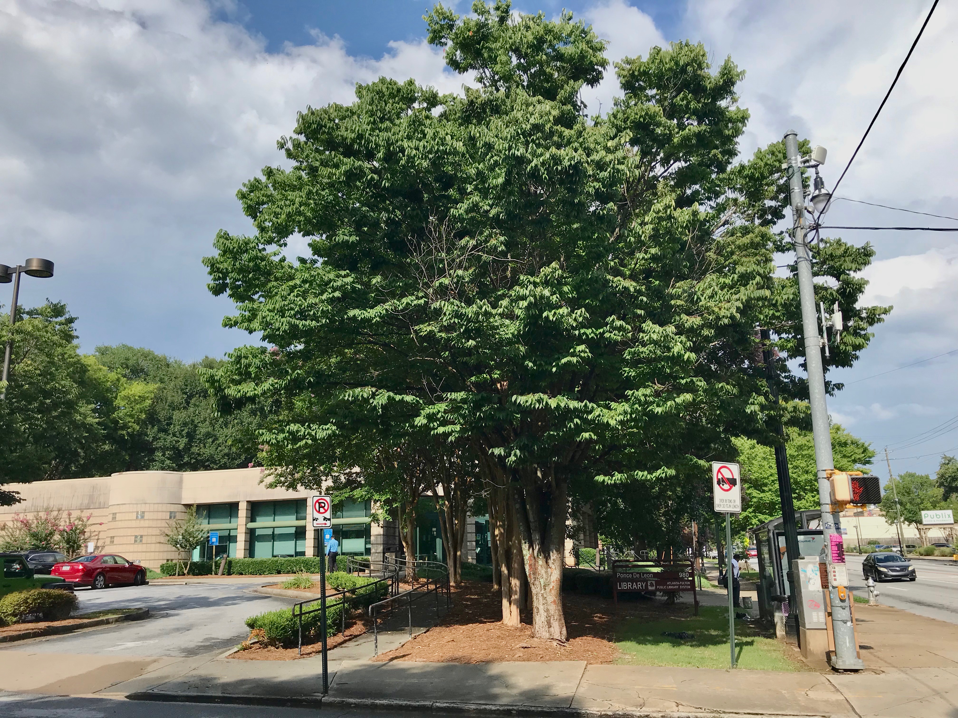 Late Fulton Commissioner Joan Garner honored by naming of Ponce de Leon library SaportaReport
