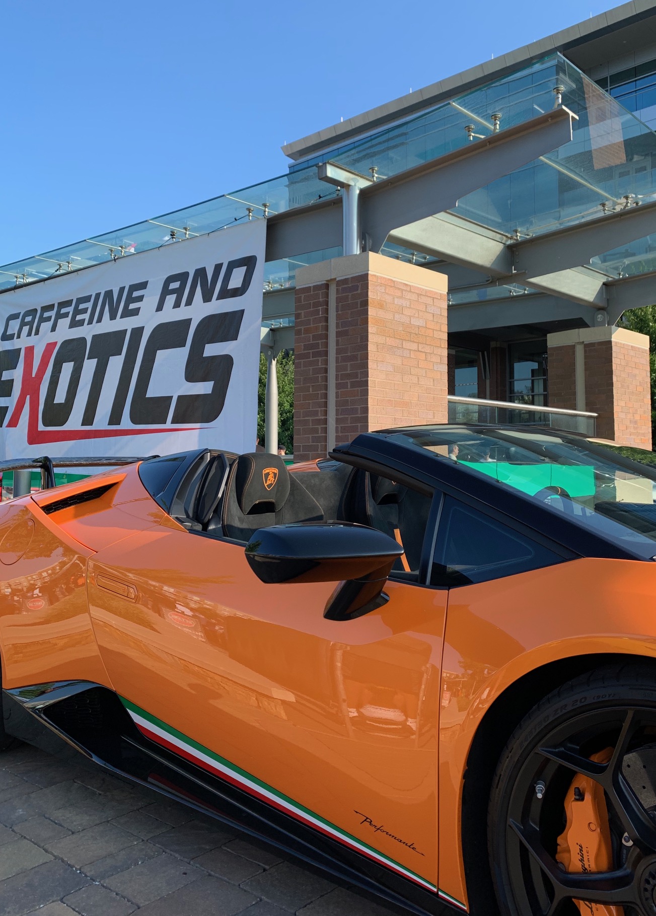 CaffeineExotics_07