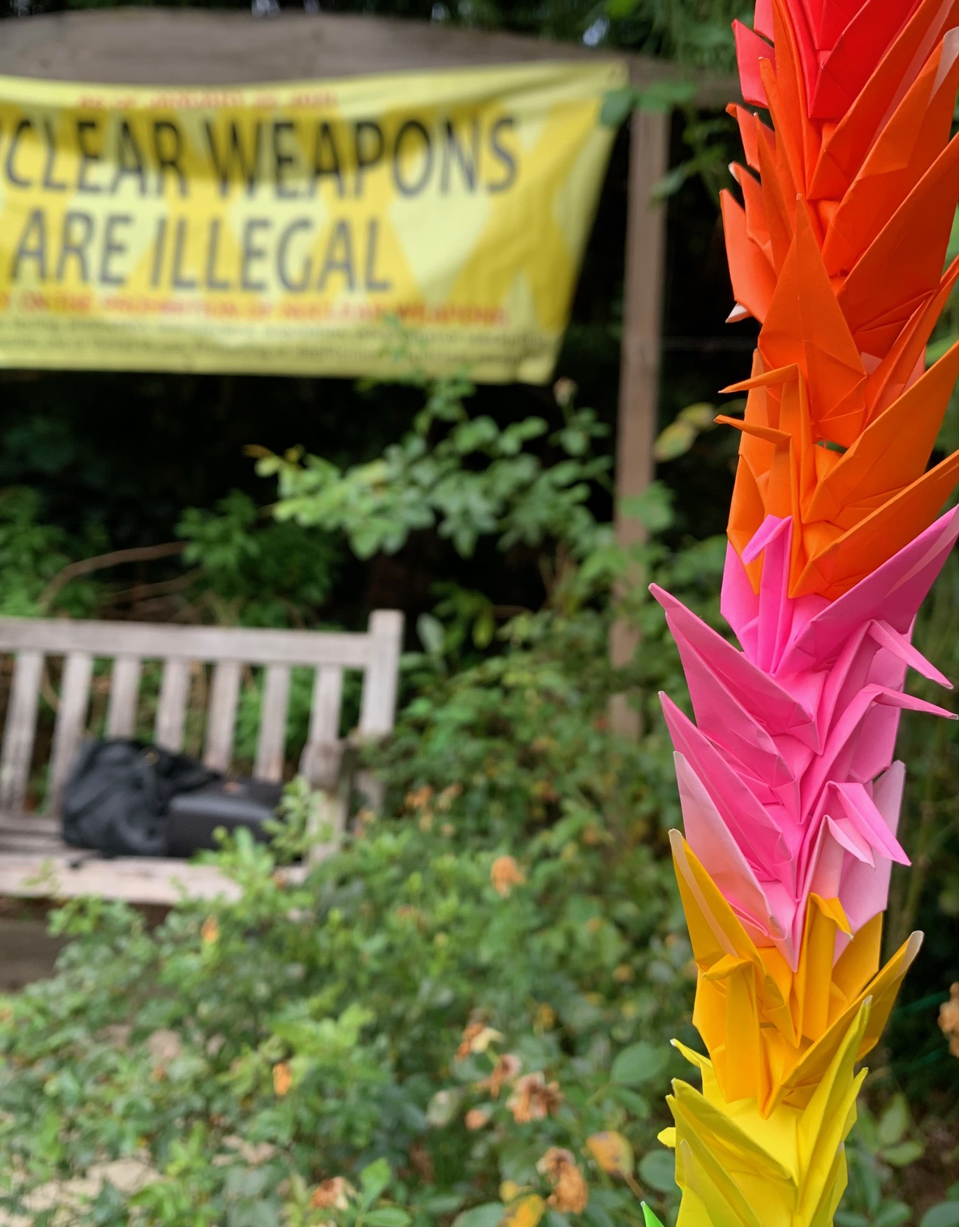 SeedsofPeace_12