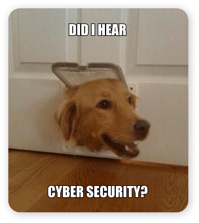 2022 NOT TODAY, CYBERCRIMINALS EN Sappi Cyber Security