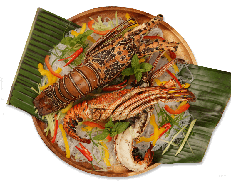 Chargrilled Lobster with Vermicelli and Herb Salad Sapporo Products