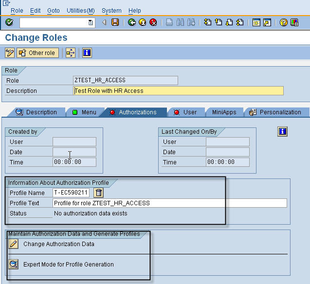 Roles & Authorizations Sap Security Pages