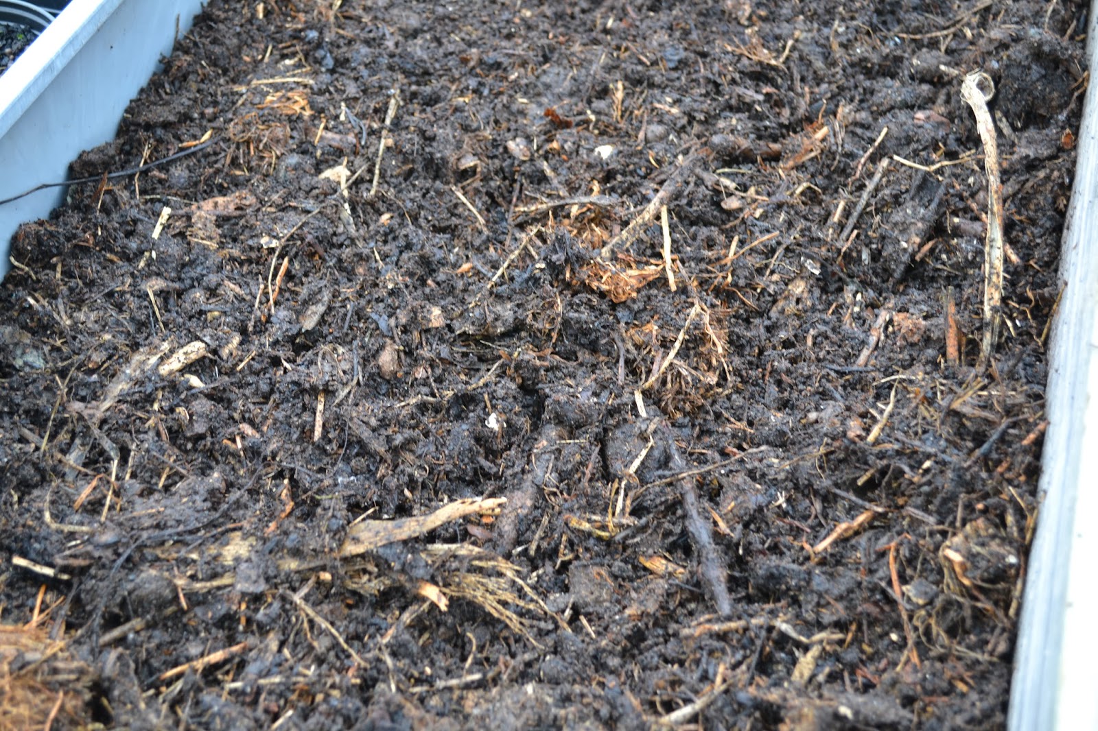 Så använder jag min kompost att odla i Sara Bäckmo