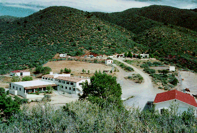 Mingus Mountain Academy Abuse