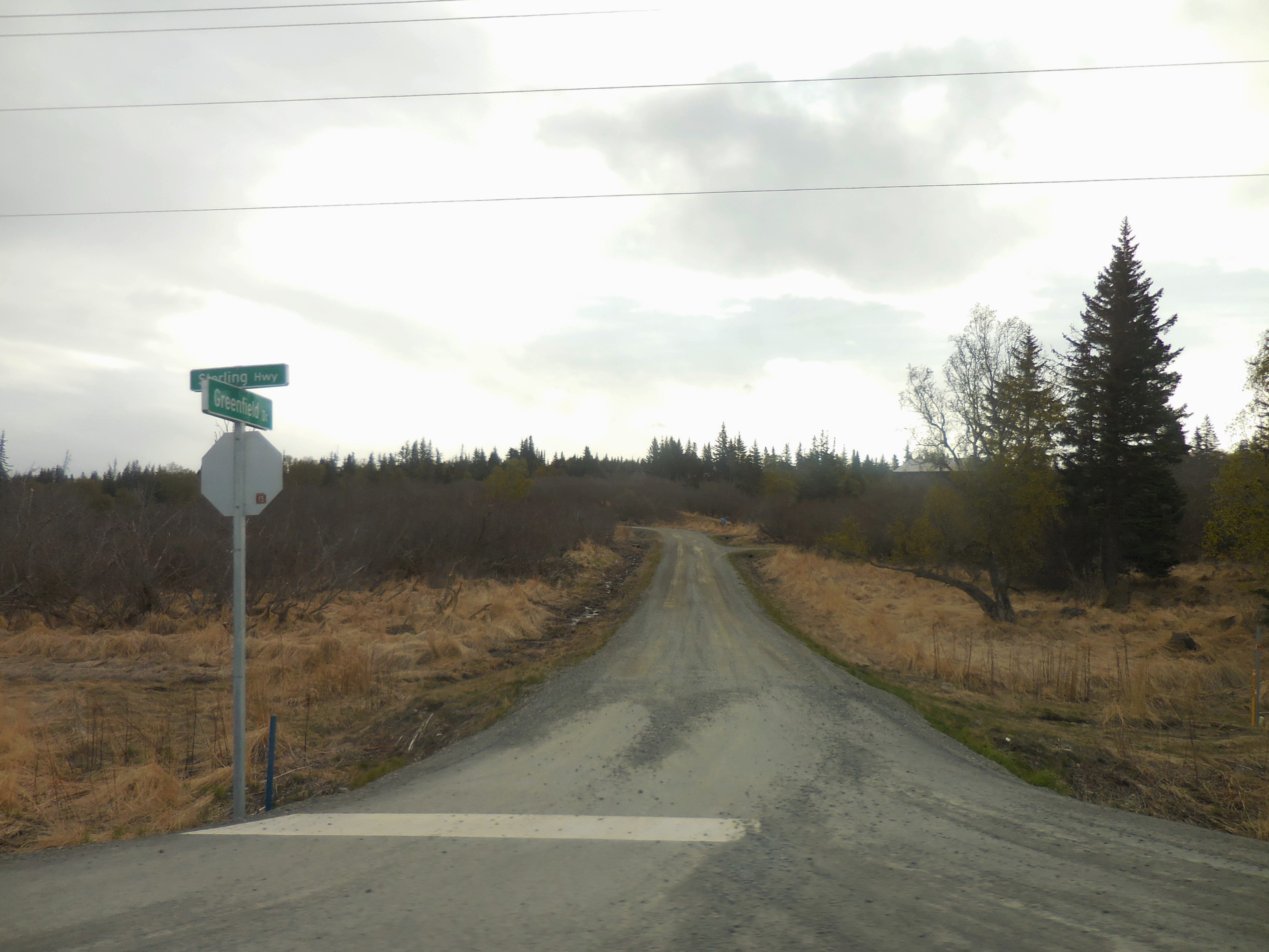 Road Trip Alaska—Seward to Homer From Whales to Tiny Houses Chaos