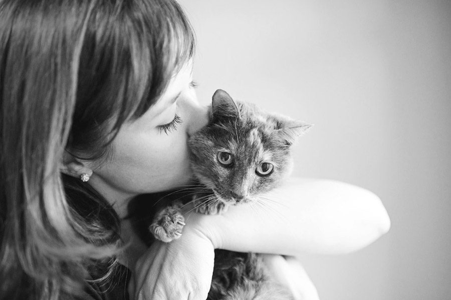 joy session cats ?? Minneapolis Saint Paul Minnesota Dog & Pet