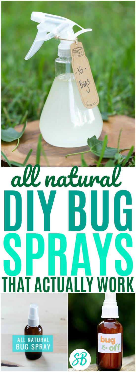 7 DIY Bug Sprays Pin 4 Sarah Blooms