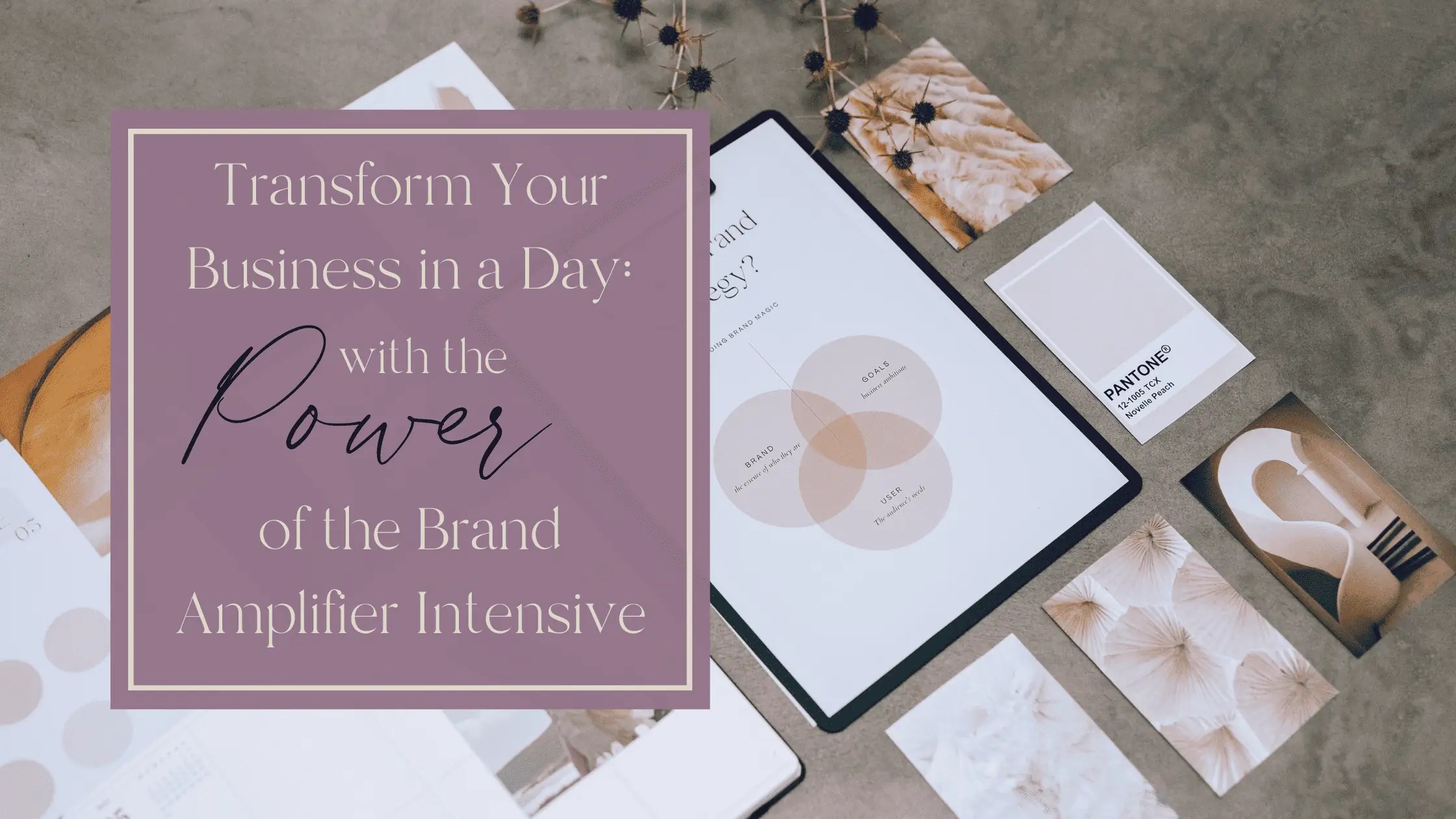 Transform Your Business in a Day The Power of the Brand Amplifier