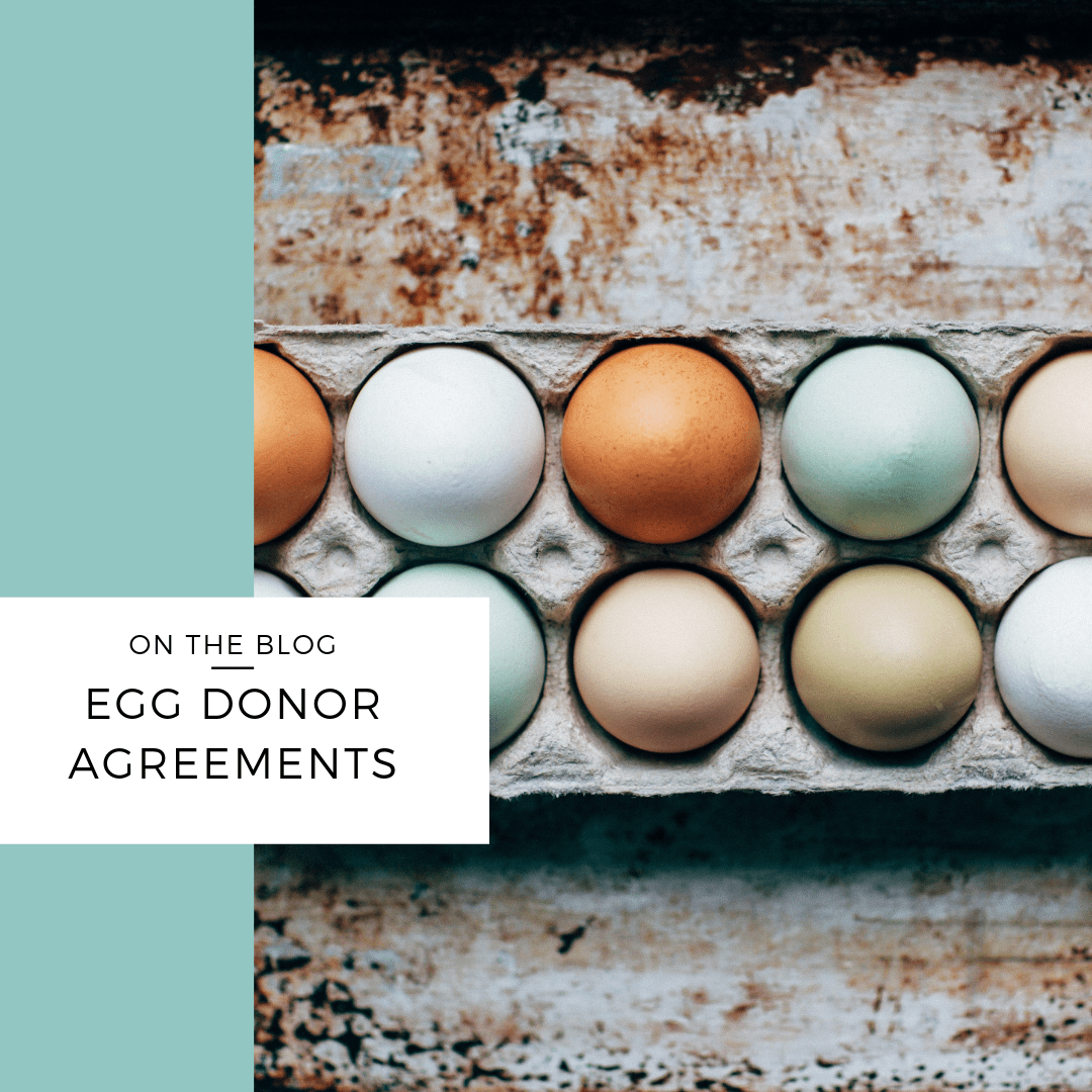 Egg Donor Agreements Sarah Jefford Surrogacy Lawyer Australia
