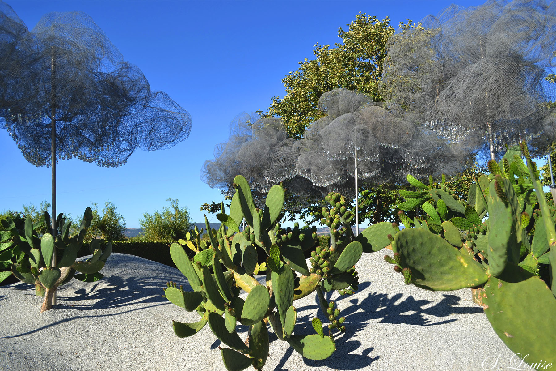 This is the Big Blue Chair S. Louise Photography