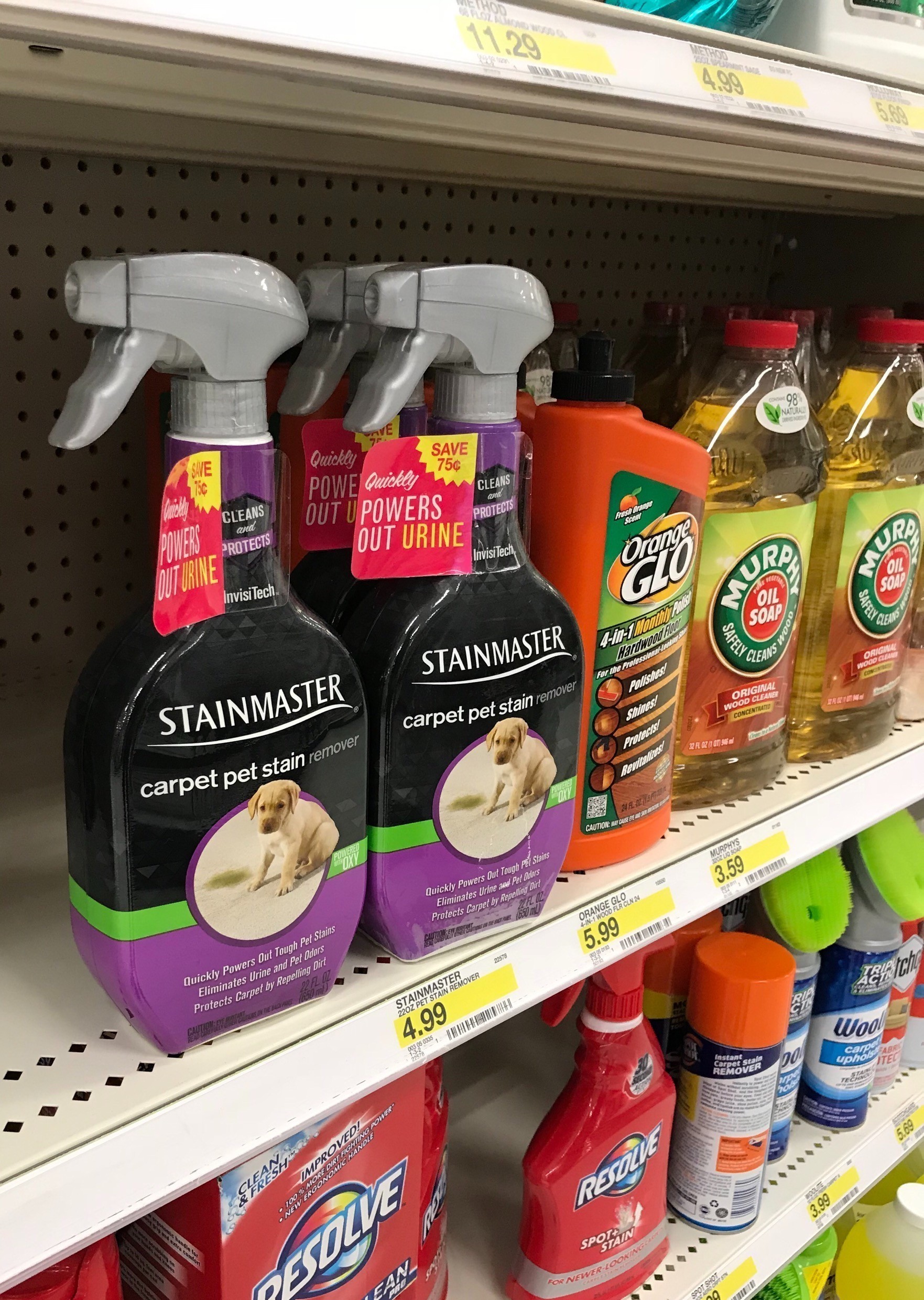 5 Tips To Keep Your Pets Safe This Halloween + STAINMASTER Carpet Pet Stain Remover Sarah Scoop