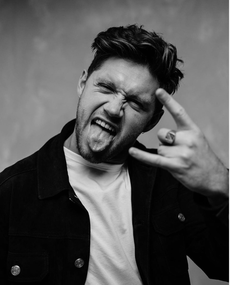 Top 10 Niall Horan Songs Sarah Scoop