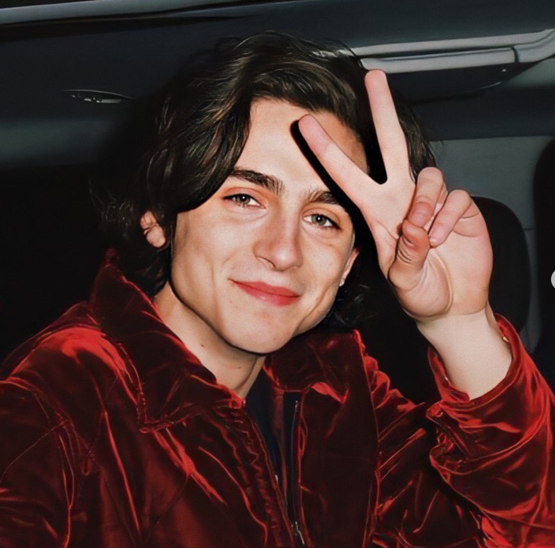 Best Timothée Chalamet Movies + Where To Watch Them Sarah Scoop