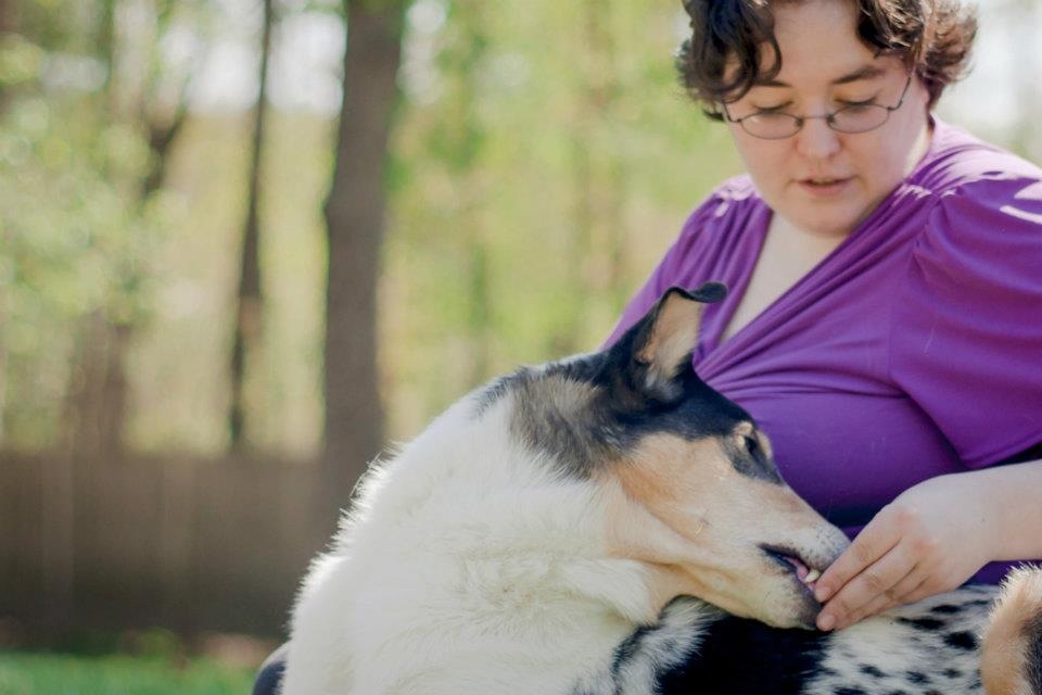 Jobs Working With Animals In Ct petfinder