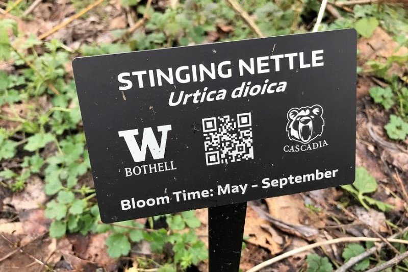 Plants tell their stories with QR codes