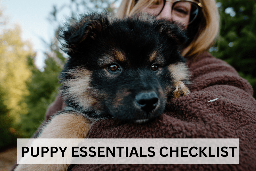 15 Puppy Essentials Every First Time Puppy Owner Should Have Sara + Dogs