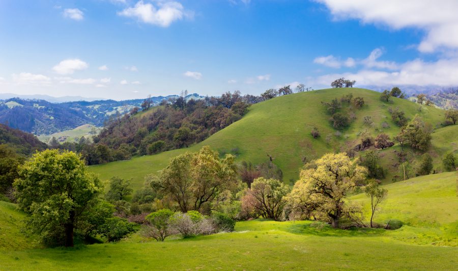 Local Landscapes Sara Silver Photography