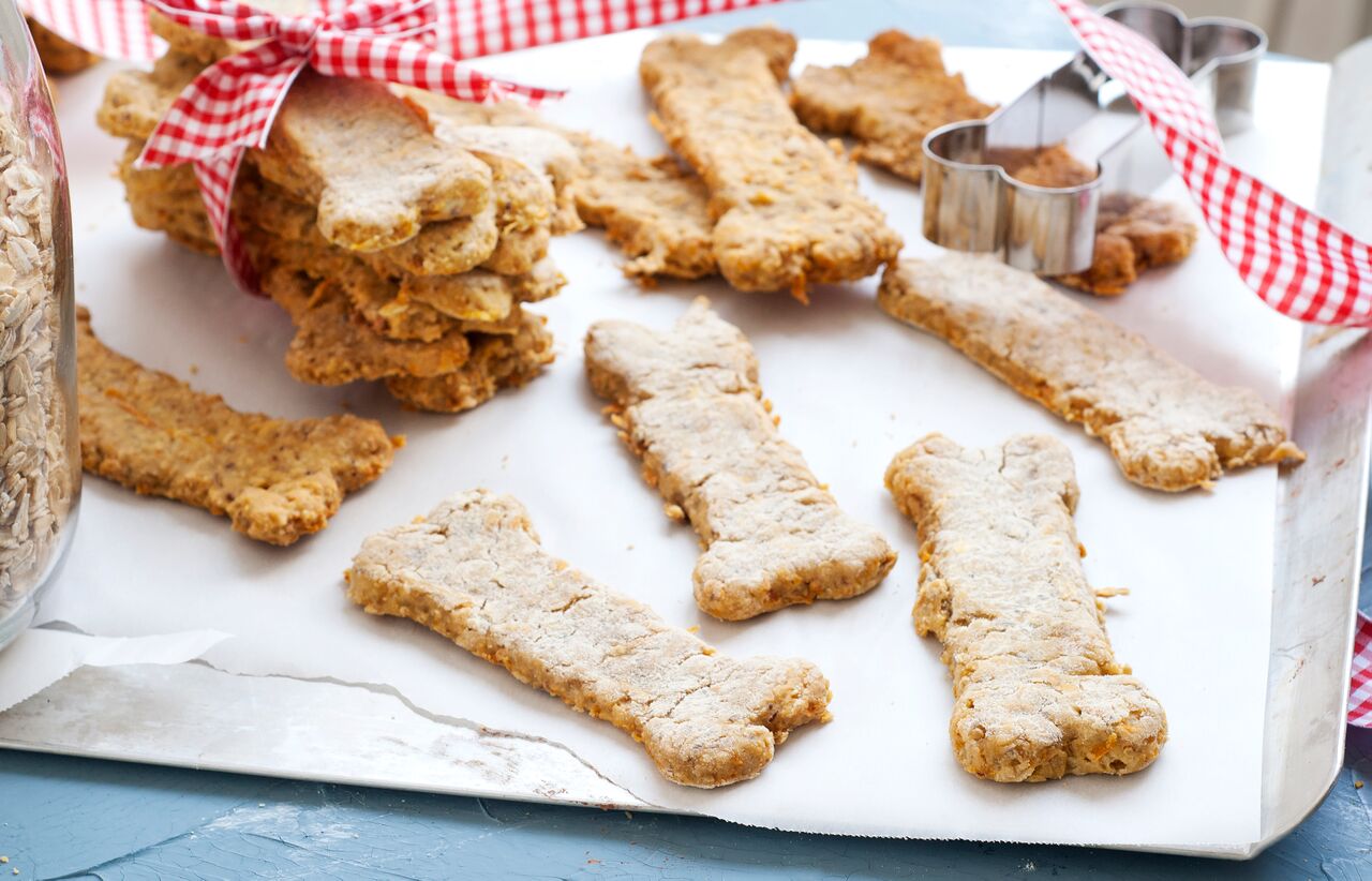 Gluten Free Dog Biscuits Sarasota Dog