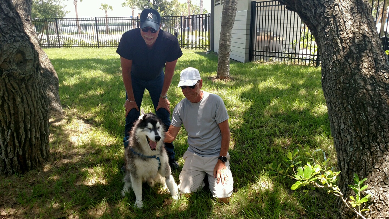LBK Bayfront Park Sarasota Dog Sarasota Dog