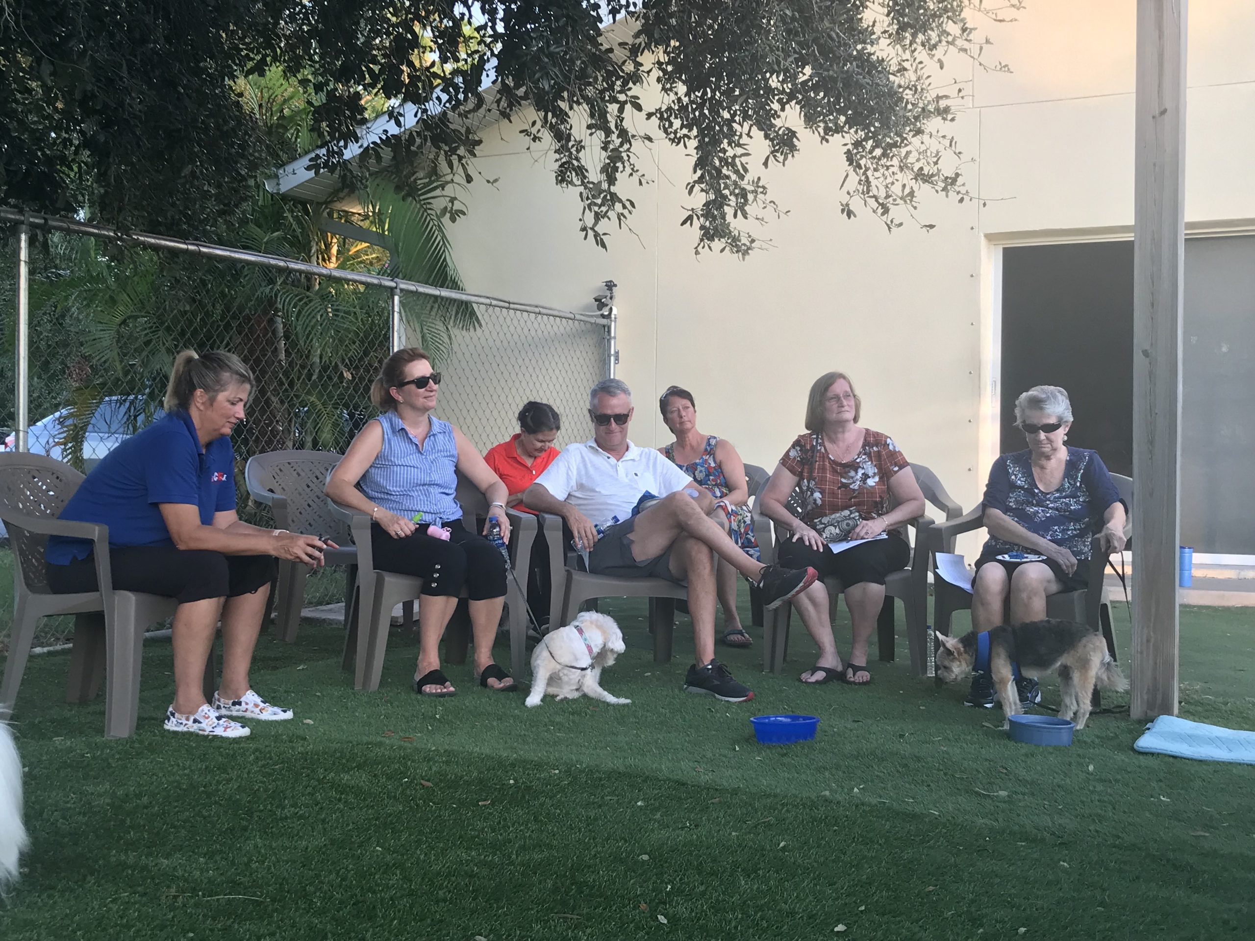 IMG_1921 Sarasota Dog