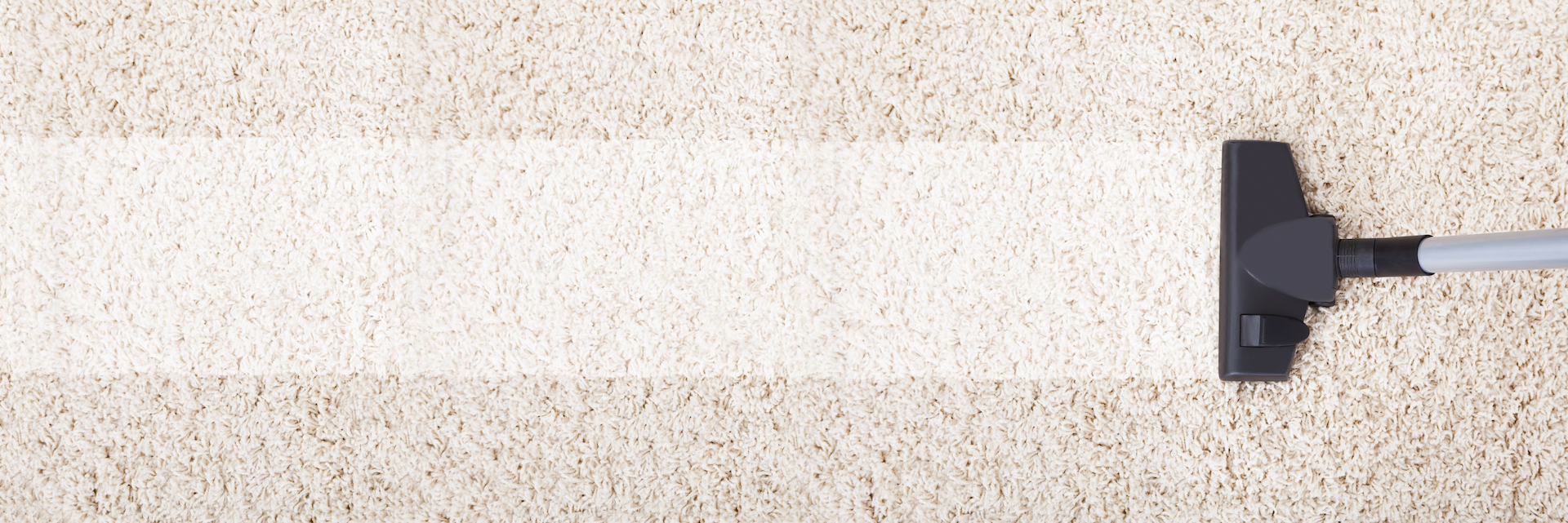 Vacuum Cleaner On Rug At Home Sarasota Vacuum Doctor