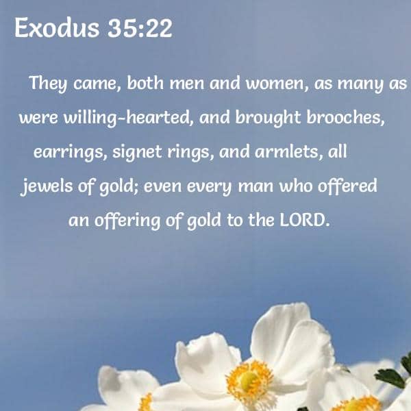 Share more than 81 bible verses about earrings kjv best esthdonghoadian