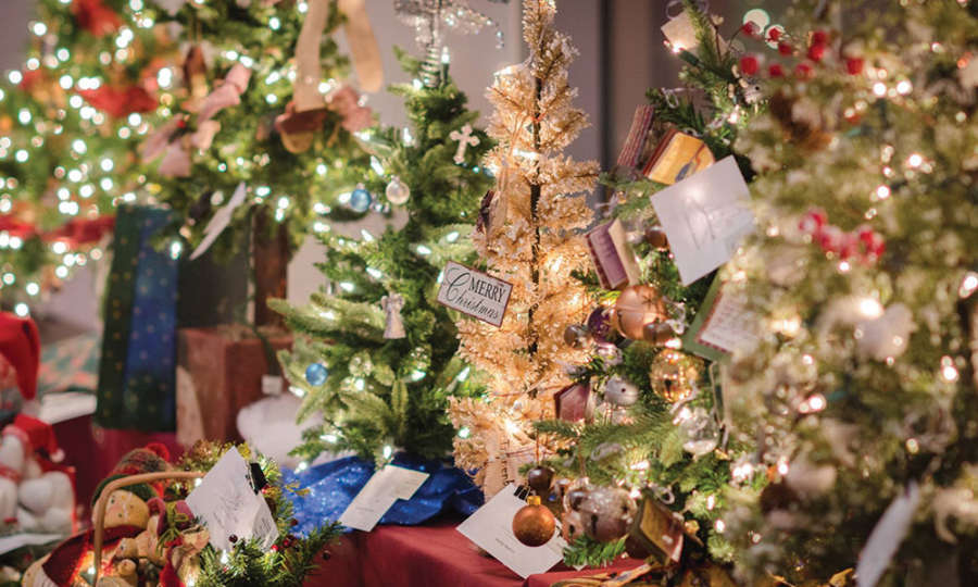 Saratoga’s Beloved Festival of Trees Is Back Saratoga Living
