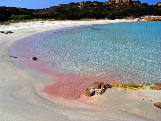 Spiaggia Rosa Sardegna Remix
