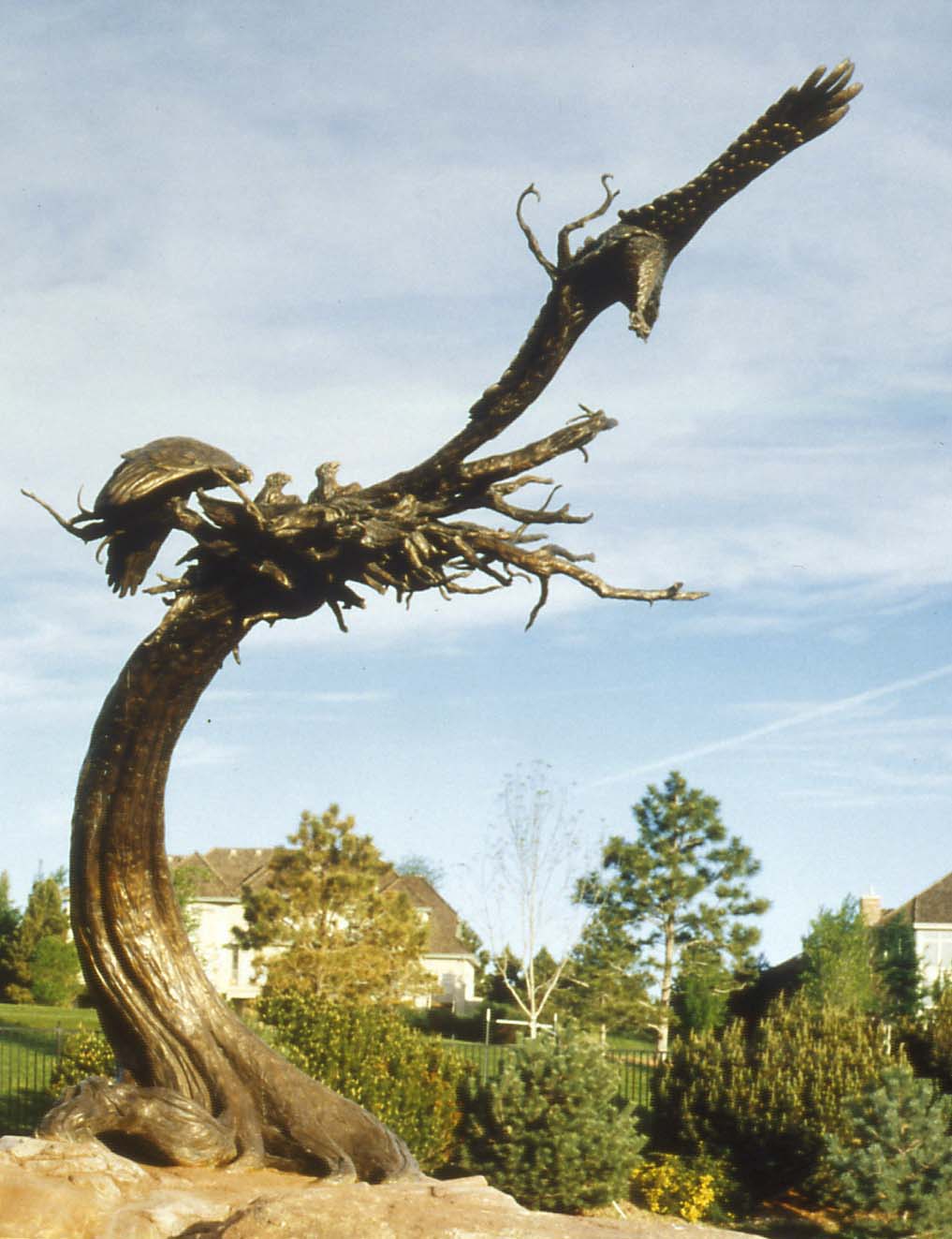 Spread Your Wings Lone Tree Colorado Rik Sargent