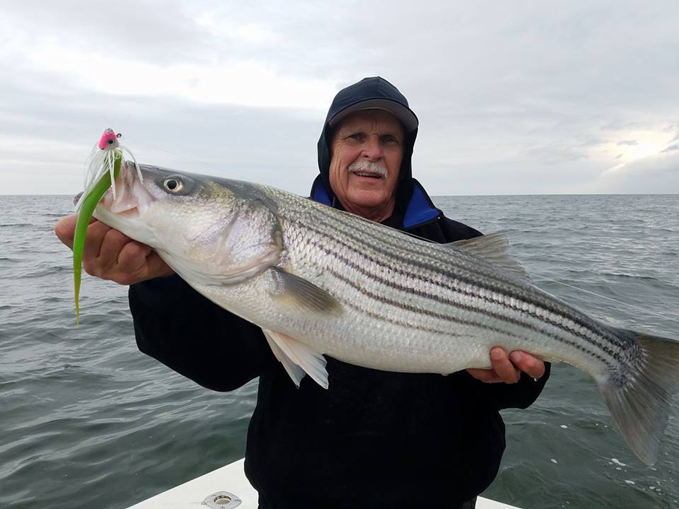 THE YACK REPORT…UPPER BAY STRIPER FISHING WINDING DOWN. Sarges Bait