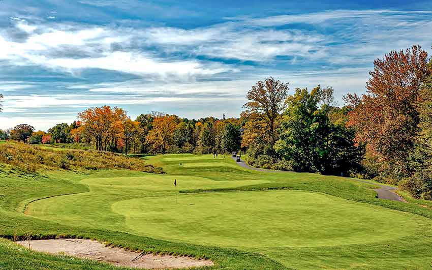 Certified Arborist Toronto Sarginson's Tree Services