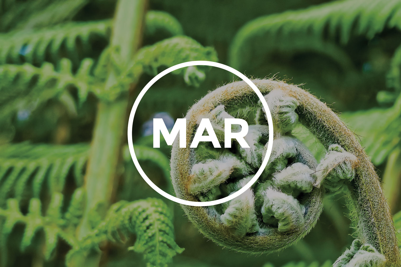 SARINACAPITAL Just another WordPress site