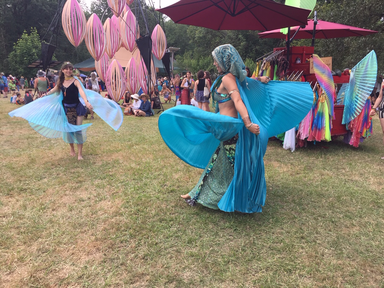 If You Believe in Fairies, Clap Your Hands A Photographic Journey of