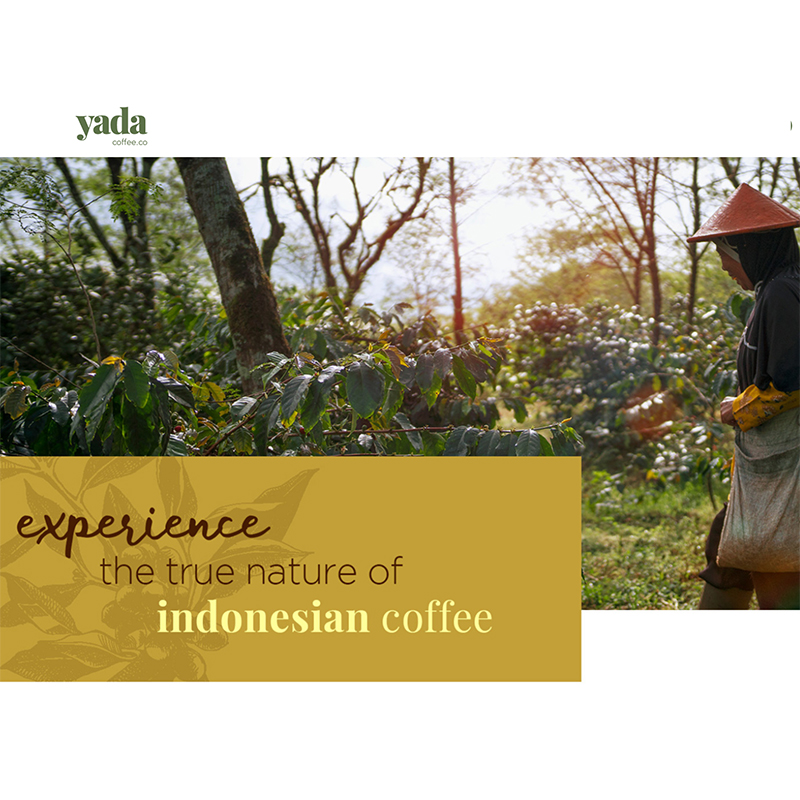 South African Coffee Roasters Association a community of south