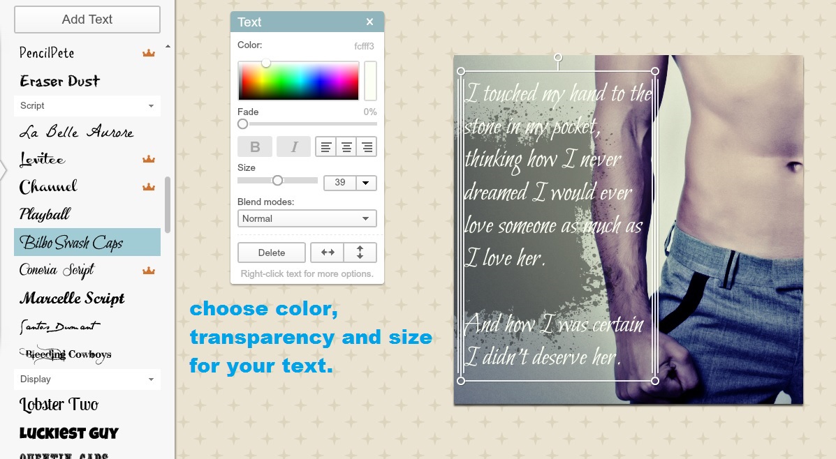 How to Make a Book Teaser Using PicMonkey