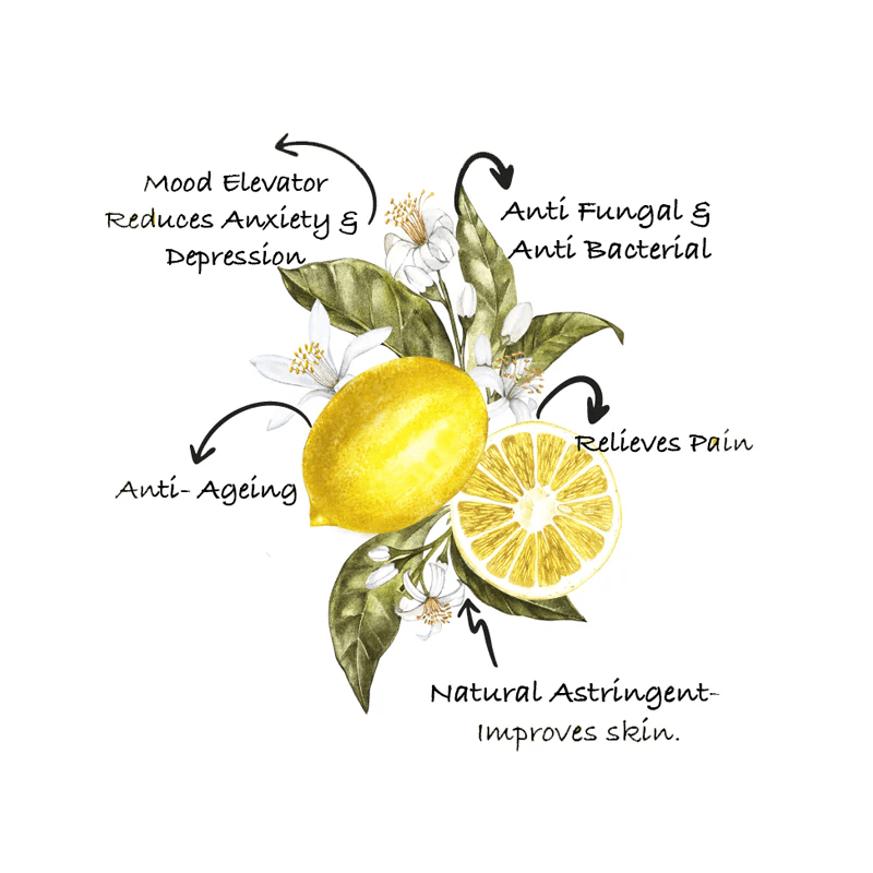 Fresh Lemon Essential Oil 100 Pure & Natural Sarva By Anadi sarvabyanadi