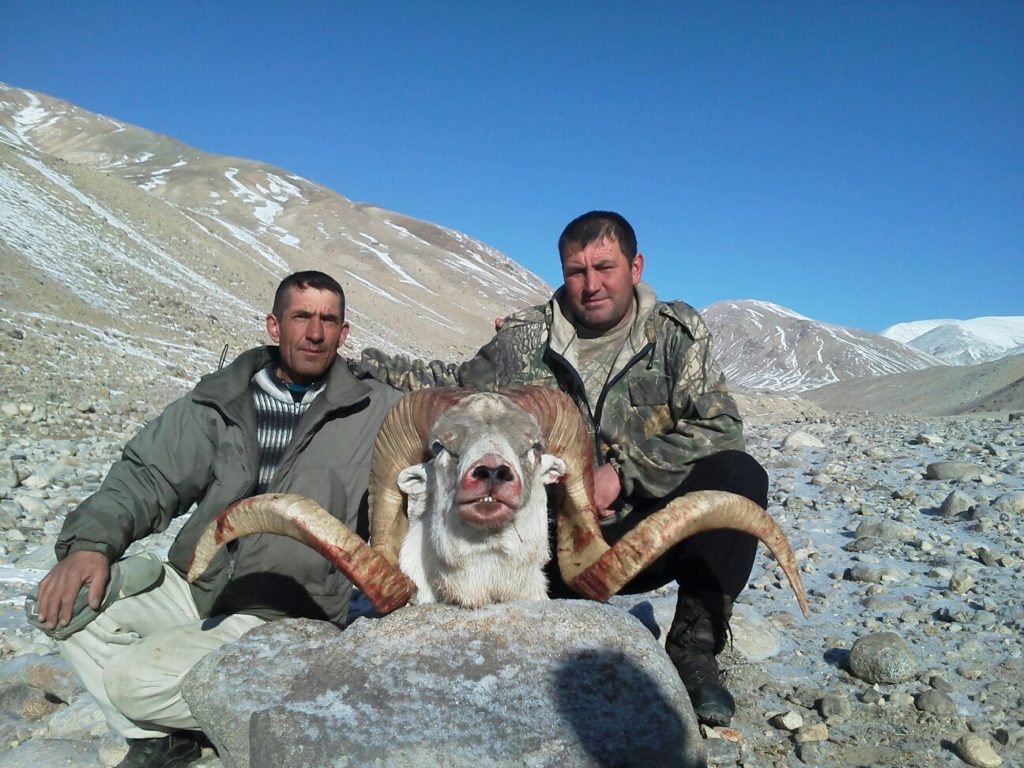 Marco Polo Hunt Tajikistan Specialty Adventure Services