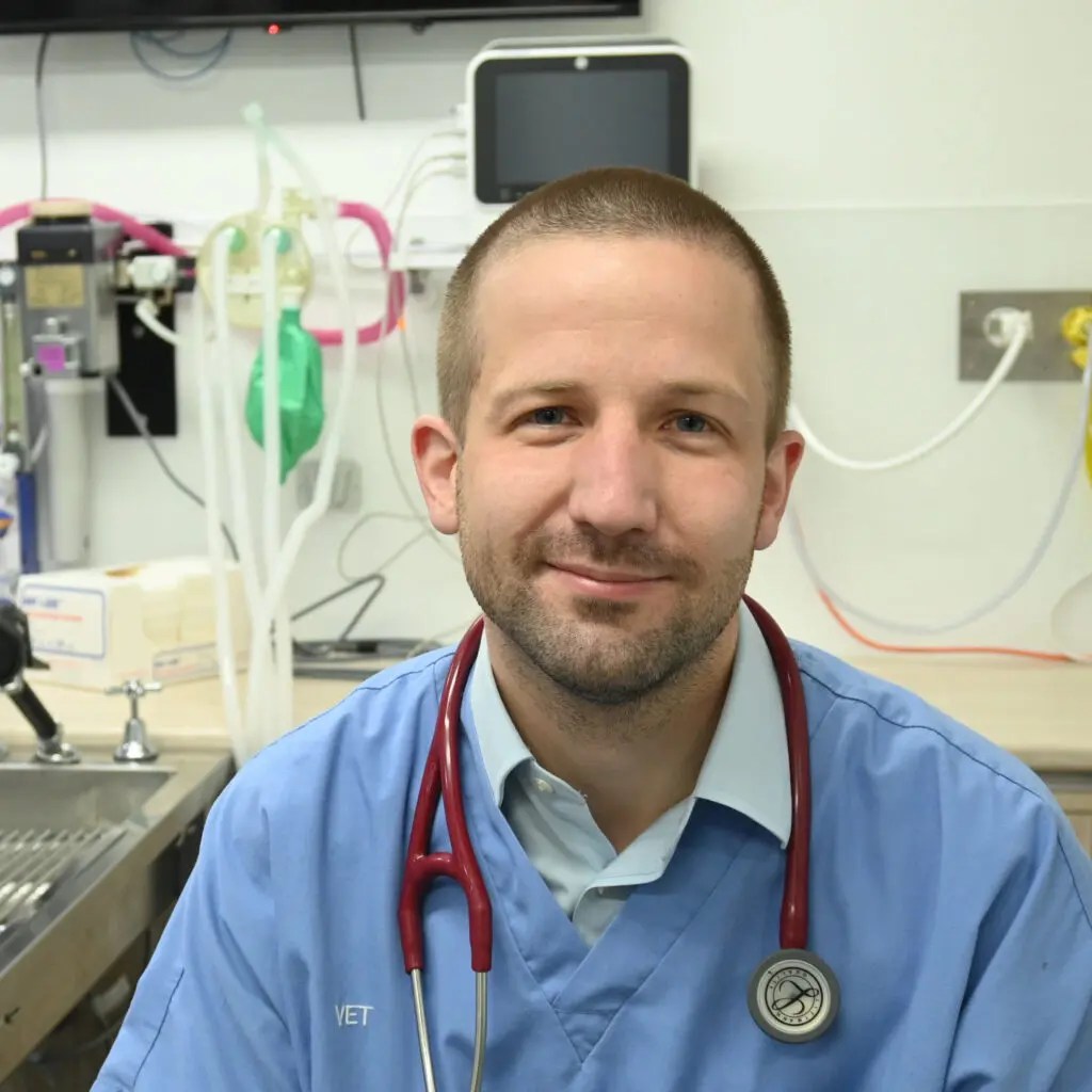 Dr Asher Allison SASH Vets