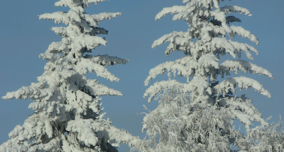 Land For Sale Saskatchewan Beach at Reginald Helms blog