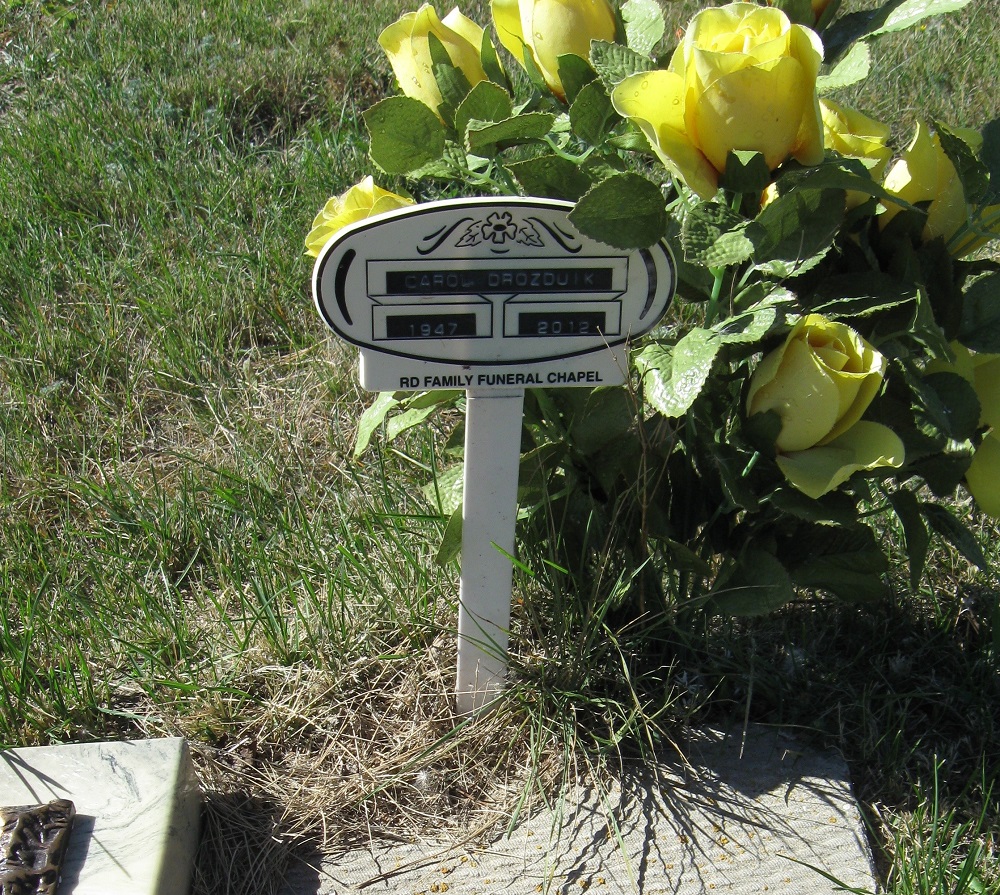 Saskatchewan Cemeteries Project Ogema Cemetery Ogema, Saskatchewan