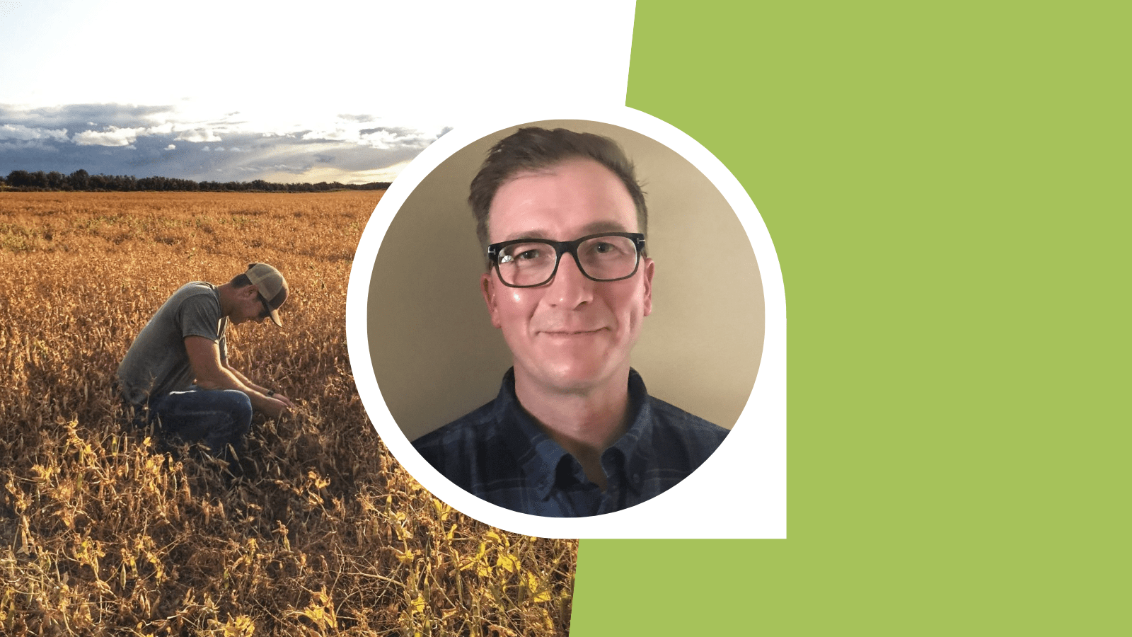 Pea Fertility Research Examines Yield and Protein Enhancements Saskatchewan Pulse Growers