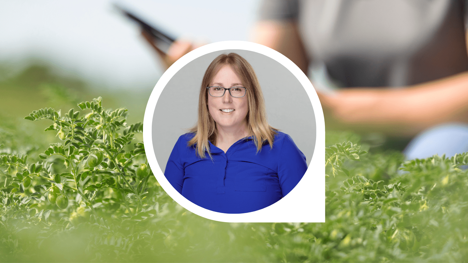 Saskatchewan Pulse Harvest Update Saskatchewan Pulse Growers