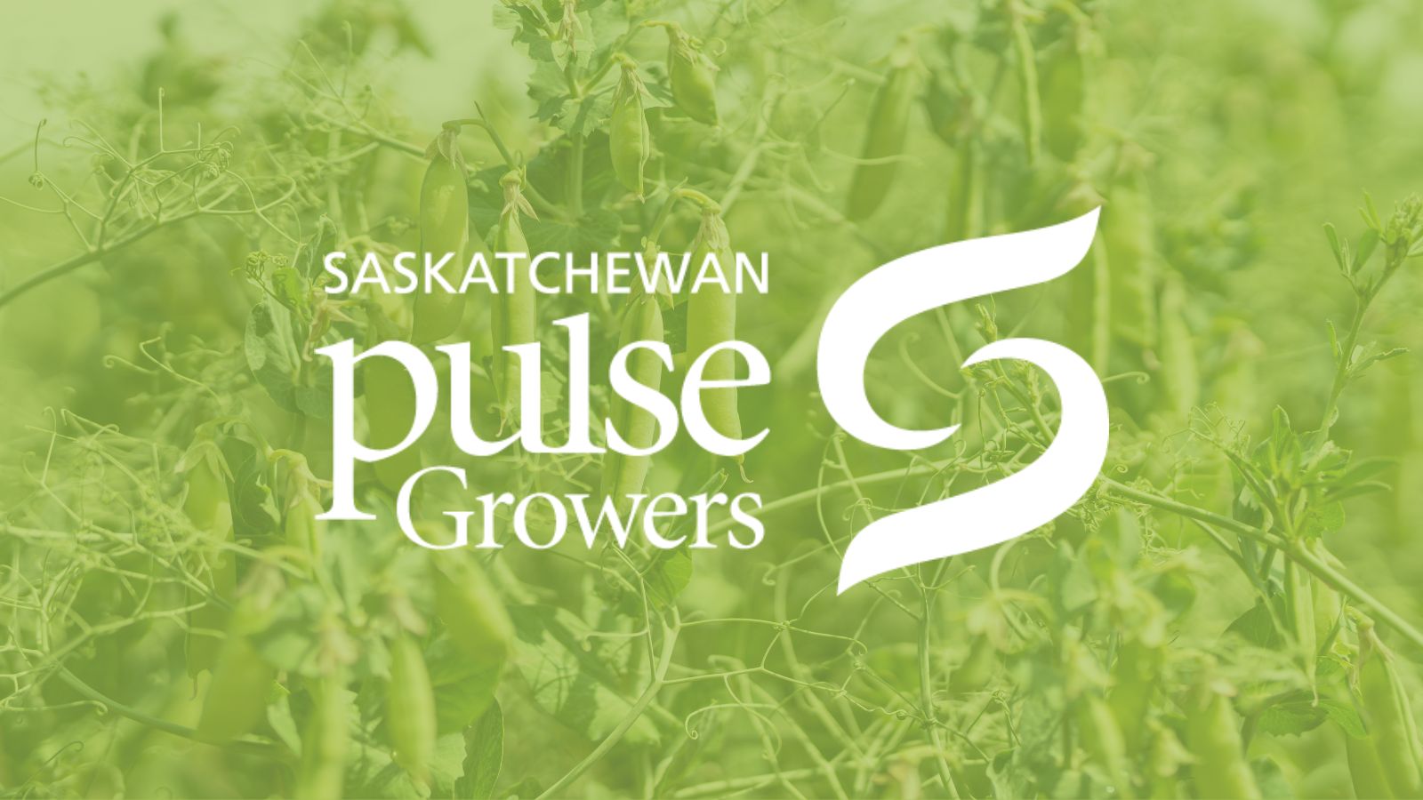 Resource Library Saskatchewan Pulse Growers