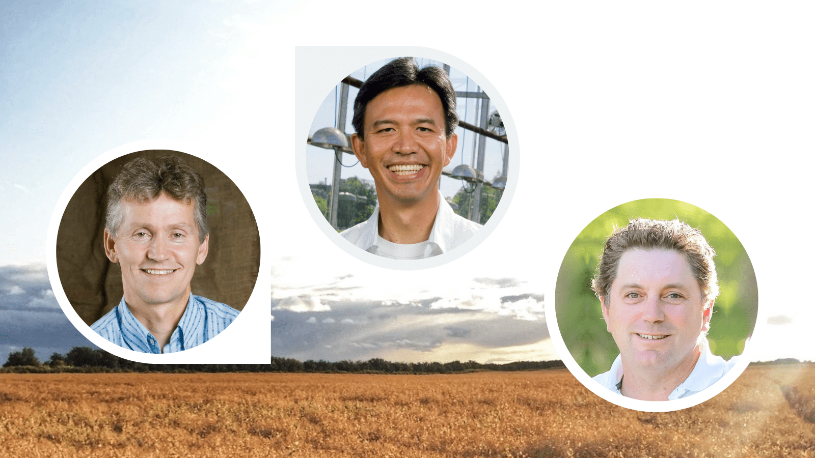 Breeders & Select Seed Grower Discuss New Pulse Varieties